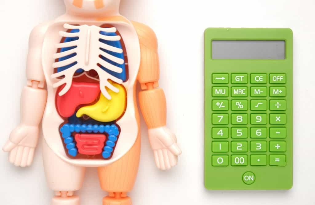 A flatlay picture of human anatomy model with calculator on white background. Human calculator concept.